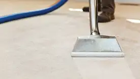 Carpet cleaning wand head gliding over a light carpet during hot-water extraction, Kansas City, MO.