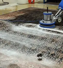 Professional rug cleaning with a rotary floor machine and shampoo foam, deep-cleaning an area rug Kansas City, MO.